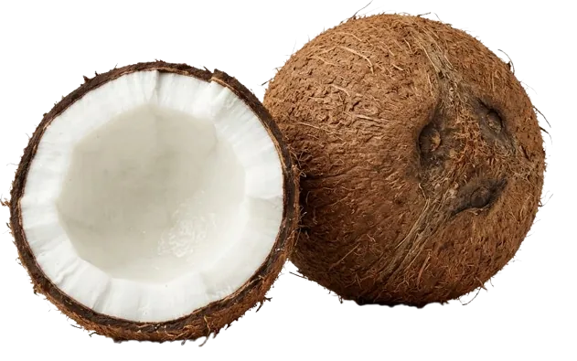 Coconut
